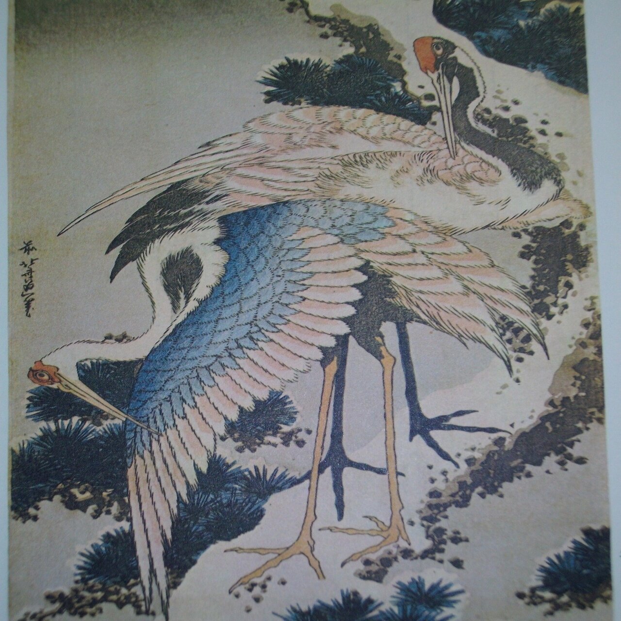 相州梅沢左』−鶴は何処へ、いいポーズしてんねえ！−『富嶽三十六景