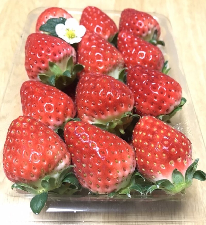紅きらぼし の新着タグ記事一覧 Note つくる つながる とどける