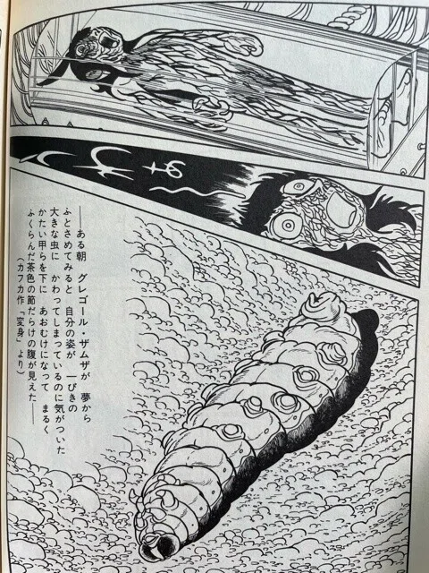 画像4