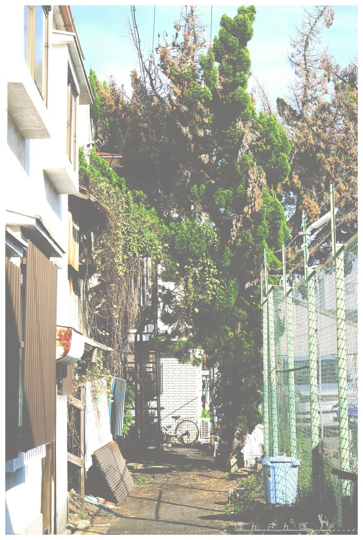 画像17