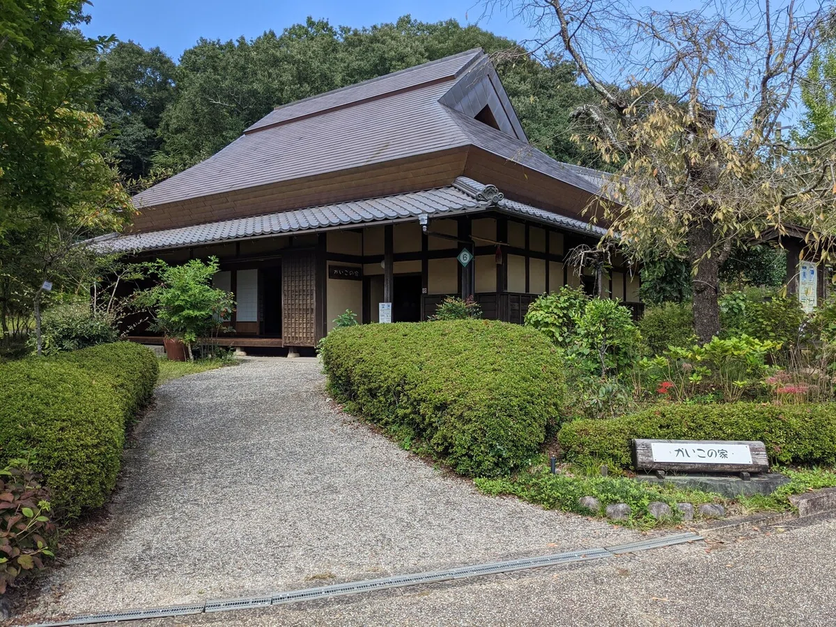 画像6