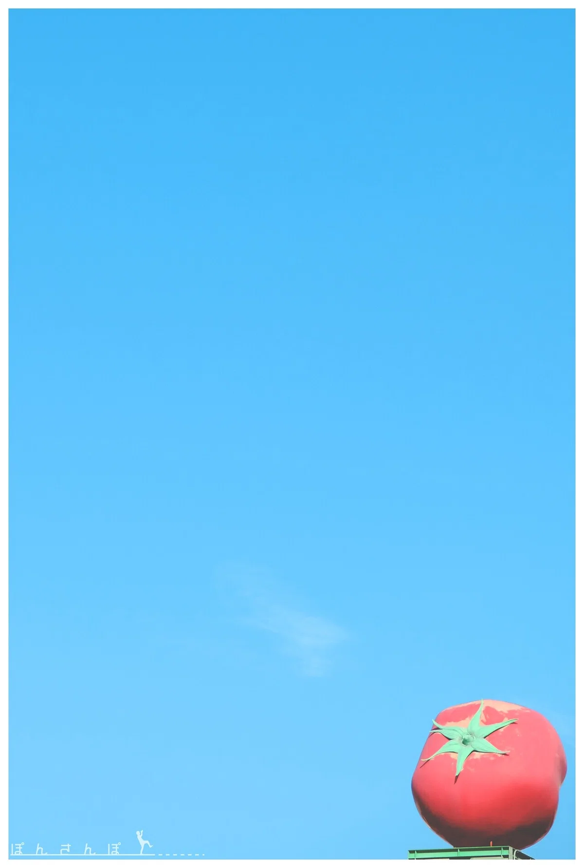 画像22