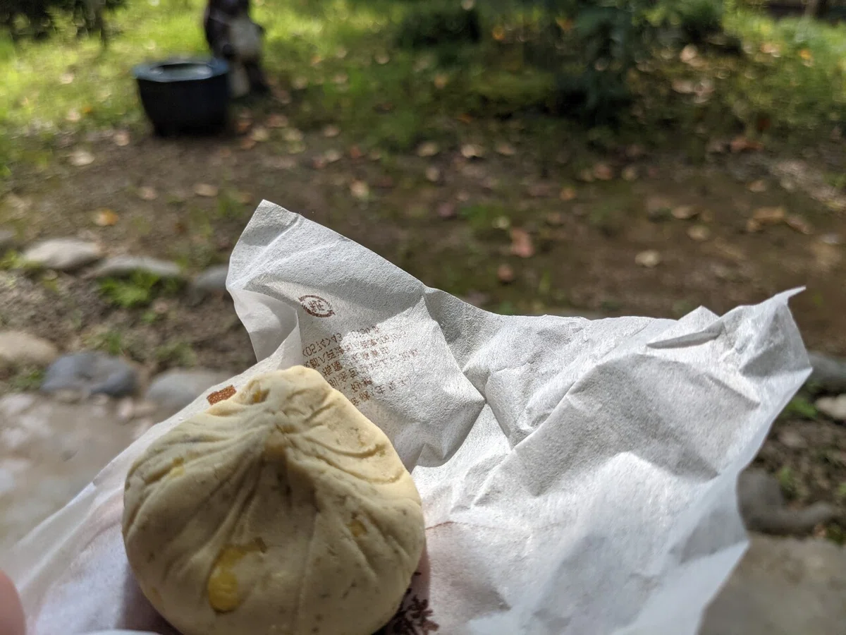 画像8