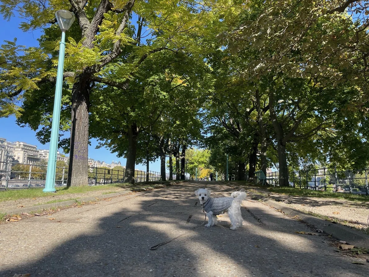画像7