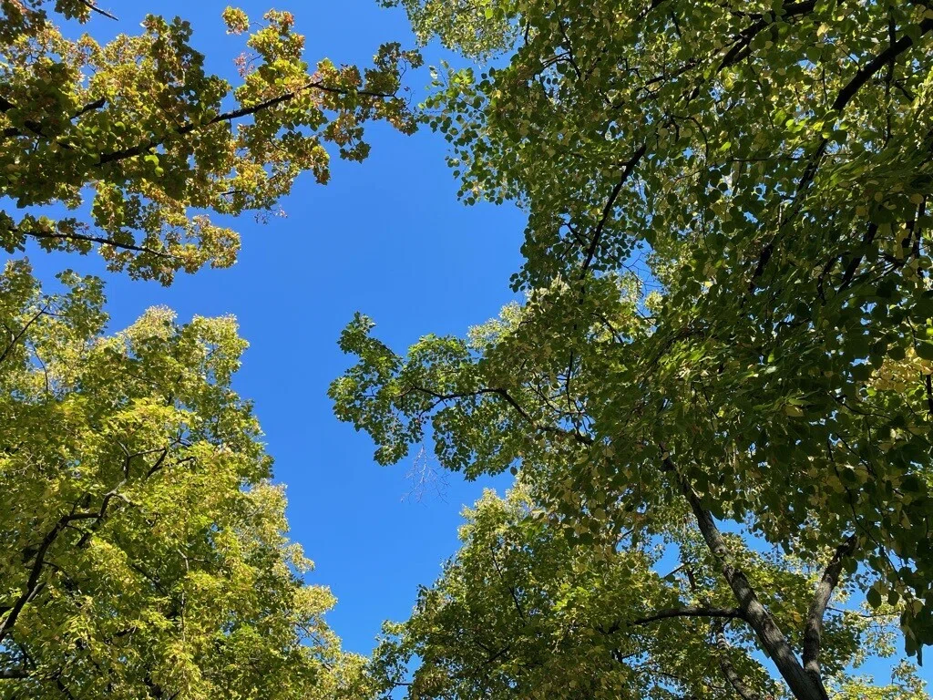 画像10