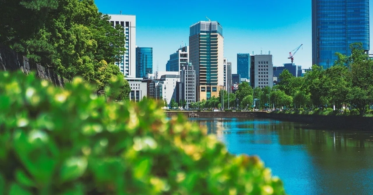 Job Change Diary 3｜冬蓮