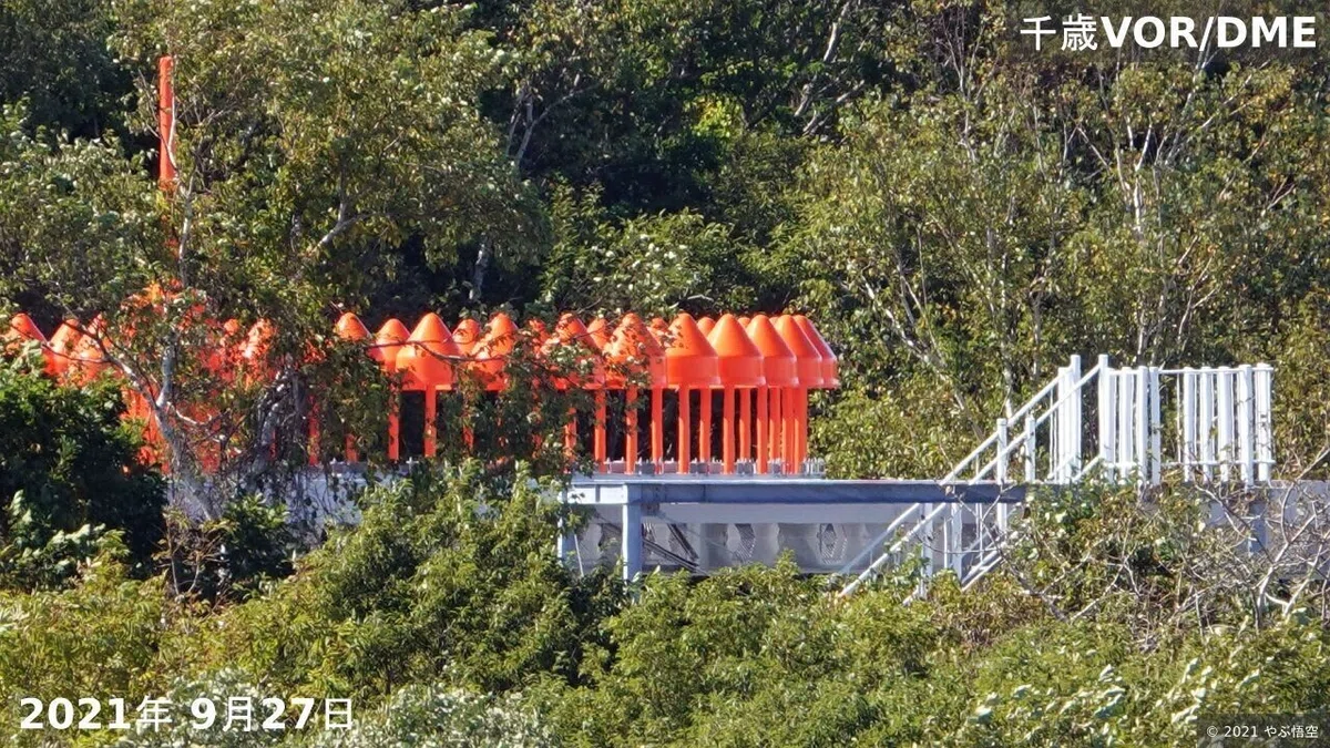 画像7