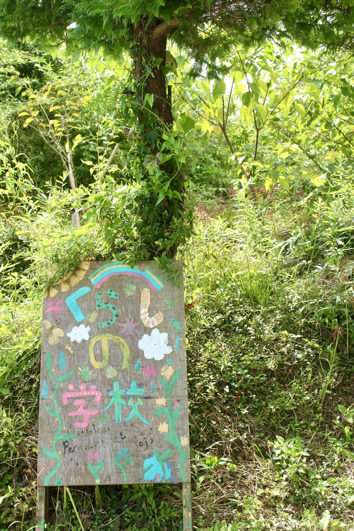 画像5