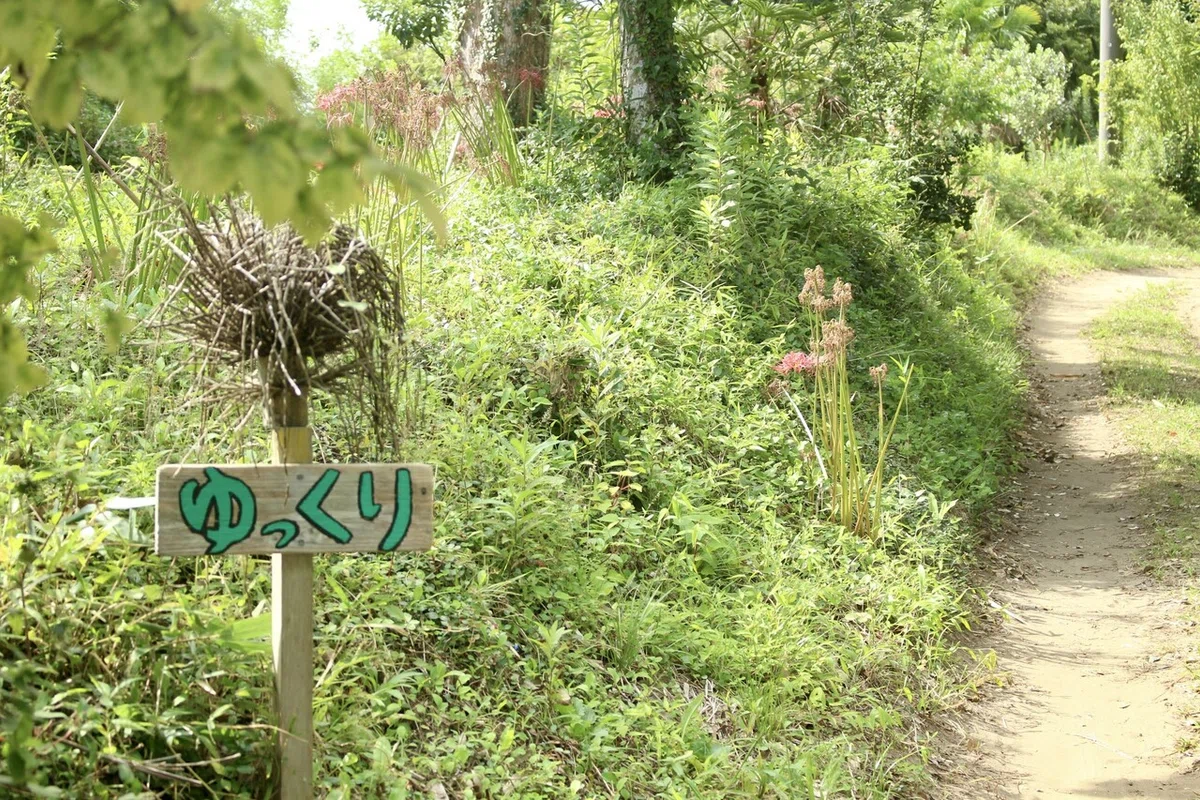 画像6