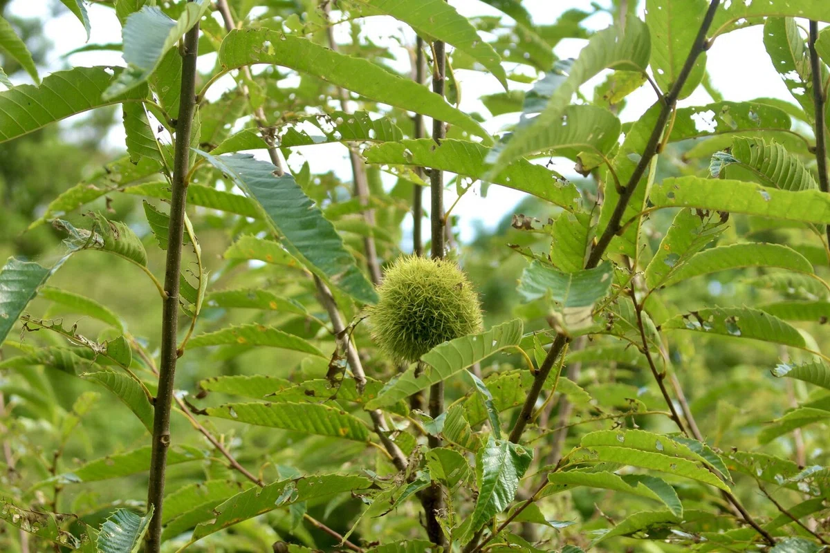 画像9