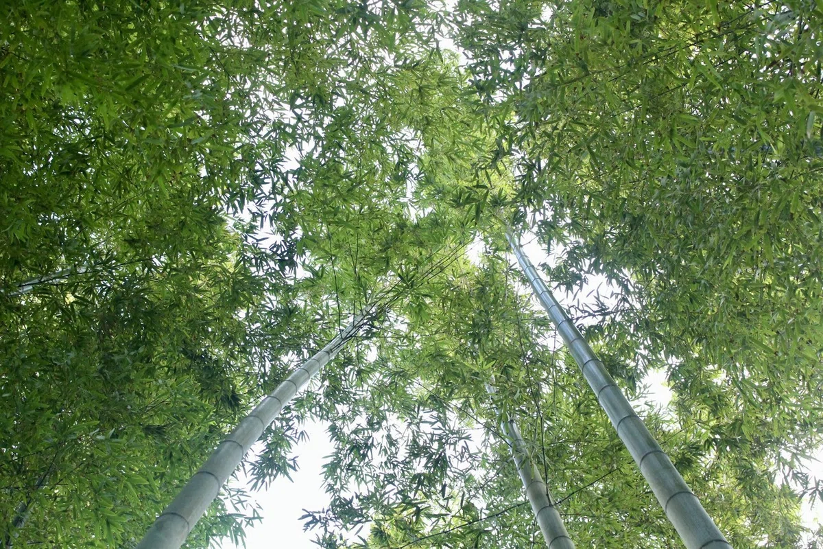 画像13