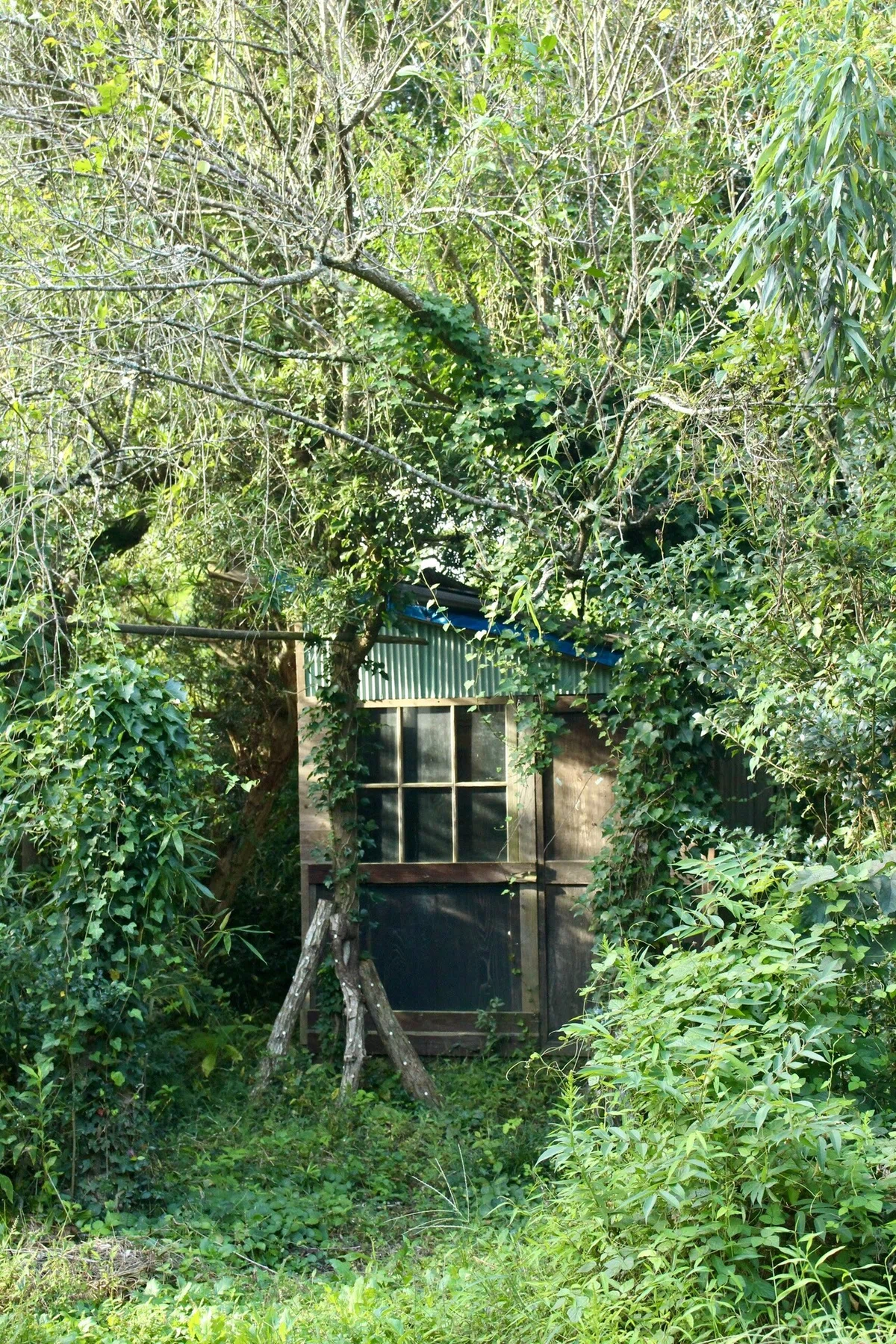 画像14
