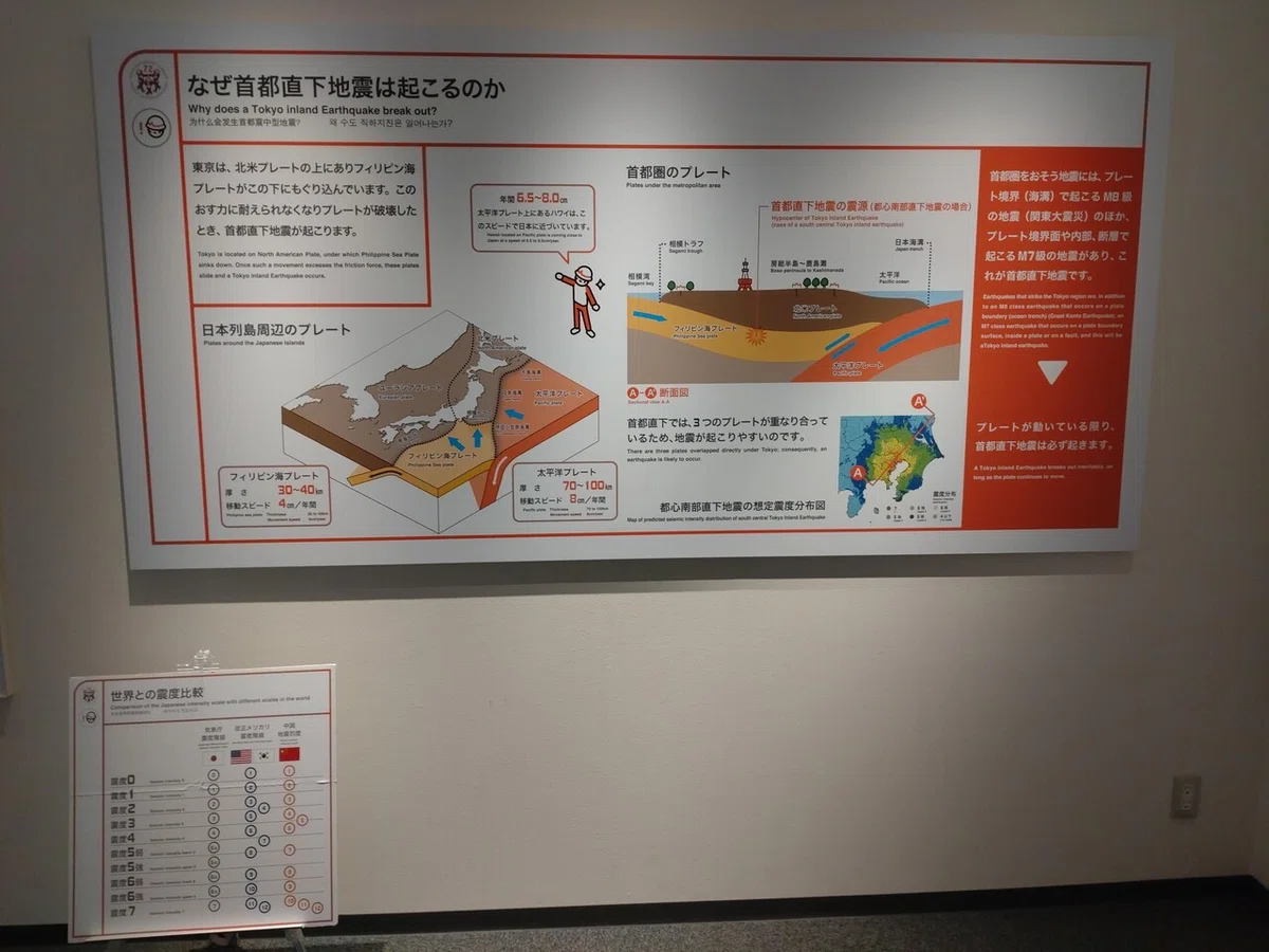 画像11