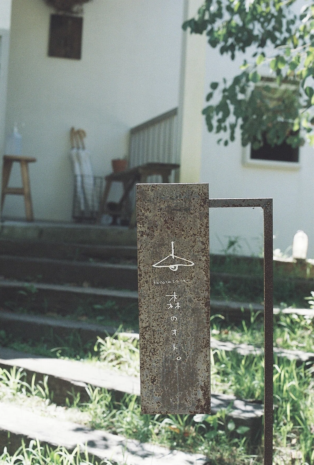 画像14