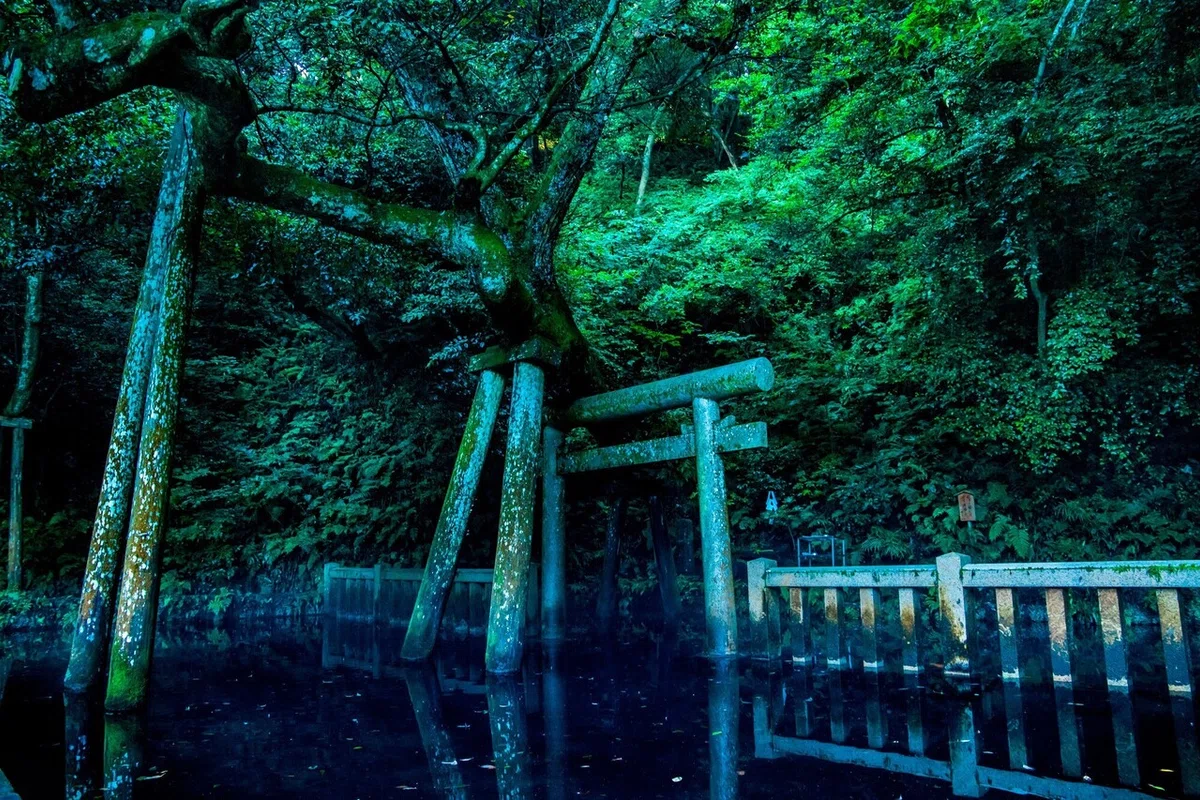 画像1