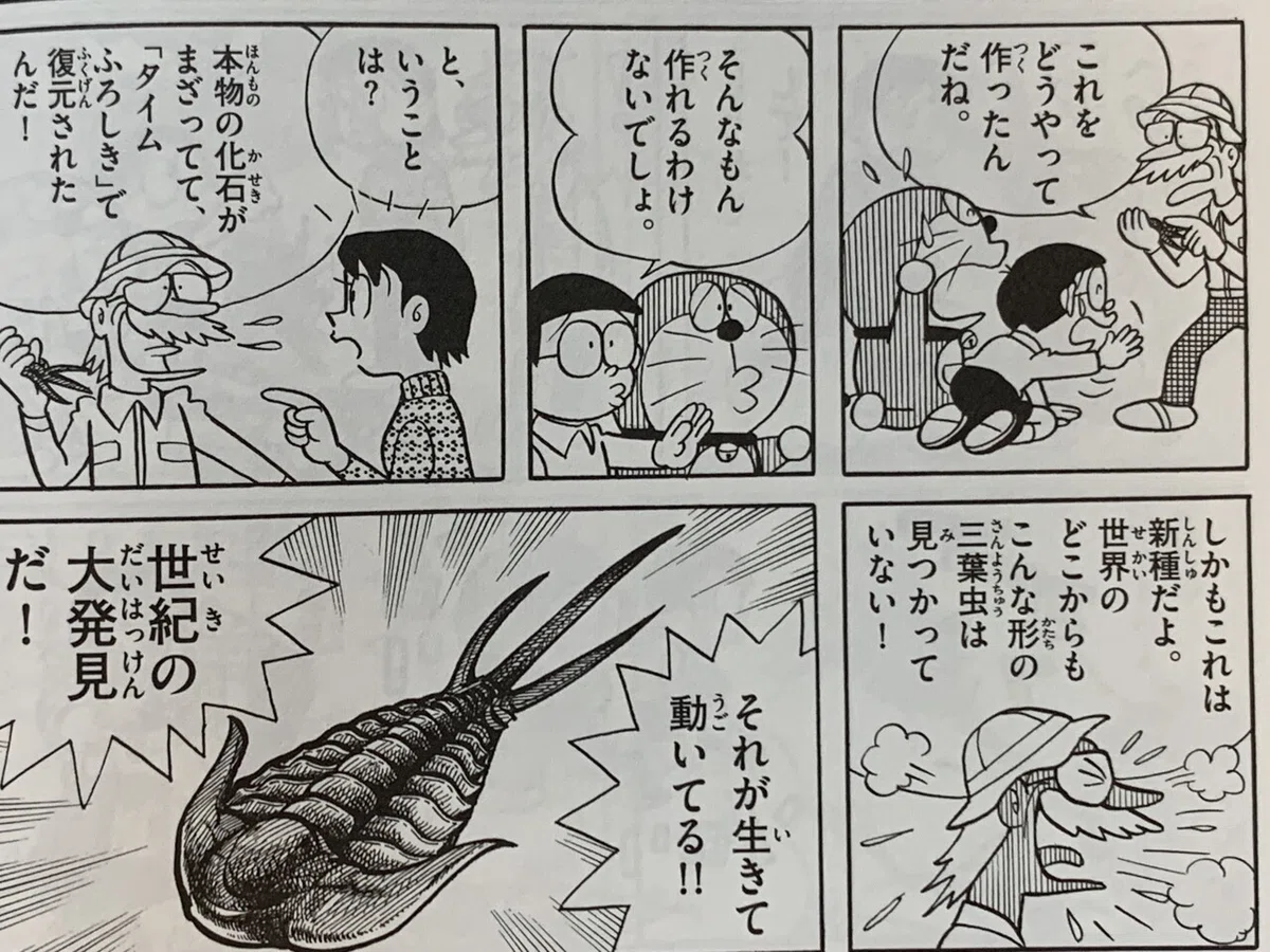 画像7