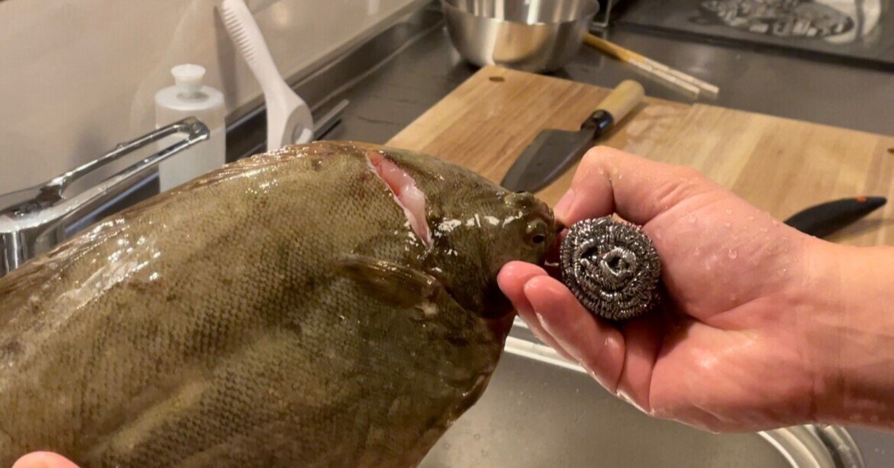 ヒラメやカレイは金たわしで下処理すると効率的 Noriaki Kawanishi 田舎暮らしデザイナー Note ヒラメやカレイは金たわしで下処理すると効率的 Noriaki Kawanishi 田舎暮らしデザイナー Note