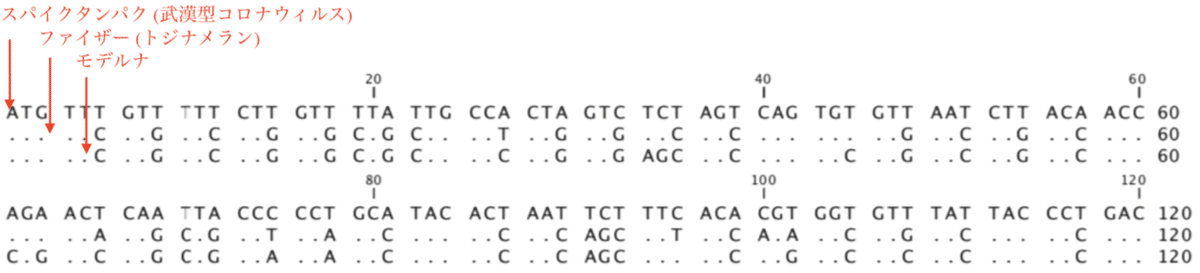 コロナワクチン遺伝子 alignment