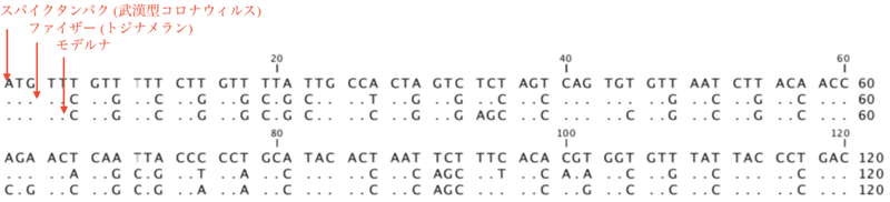 コロナワクチン遺伝子 alignment