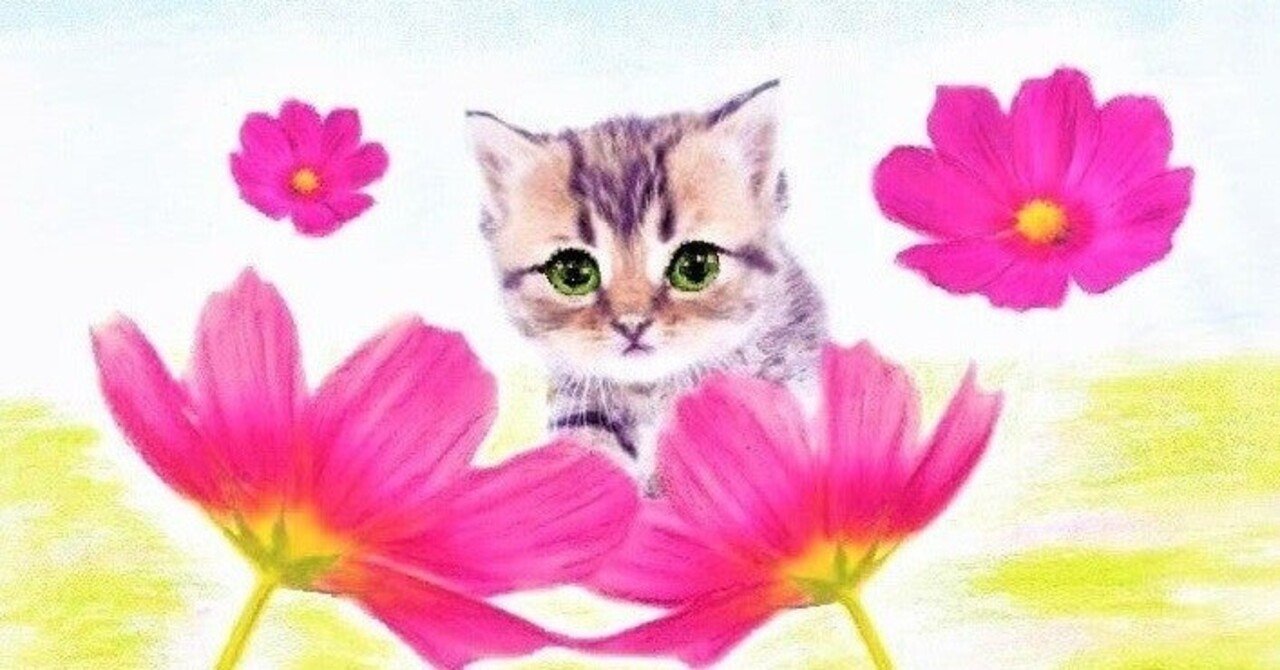 休養日 10 9の花言葉 ピンクのコスモスとウイキョウ フェンネル ひまわり Note 休養日 10 9の花言葉 ピンクのコスモスとウイキョウ フェンネル ひまわり Note