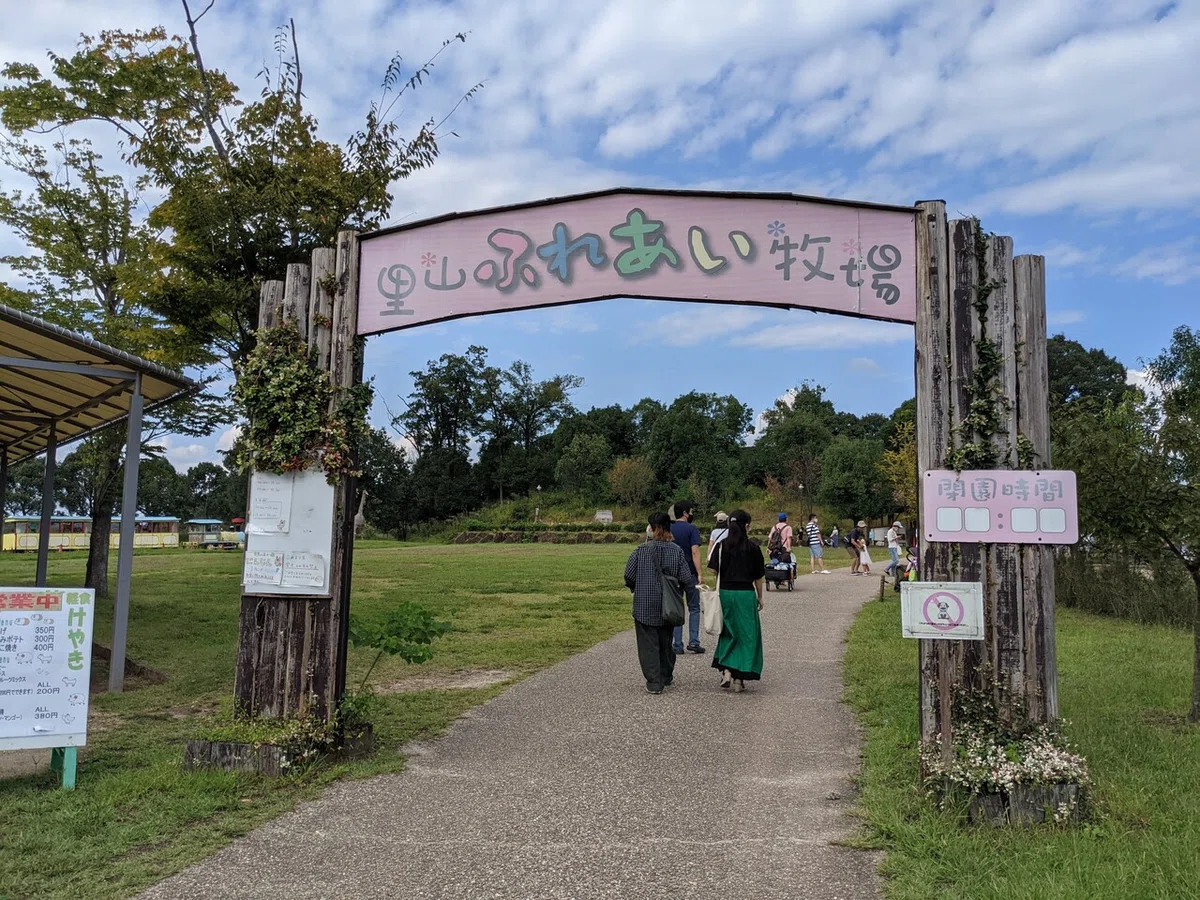 画像10