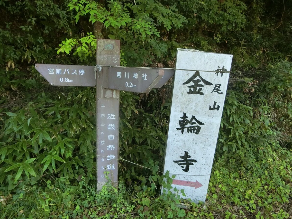 画像5