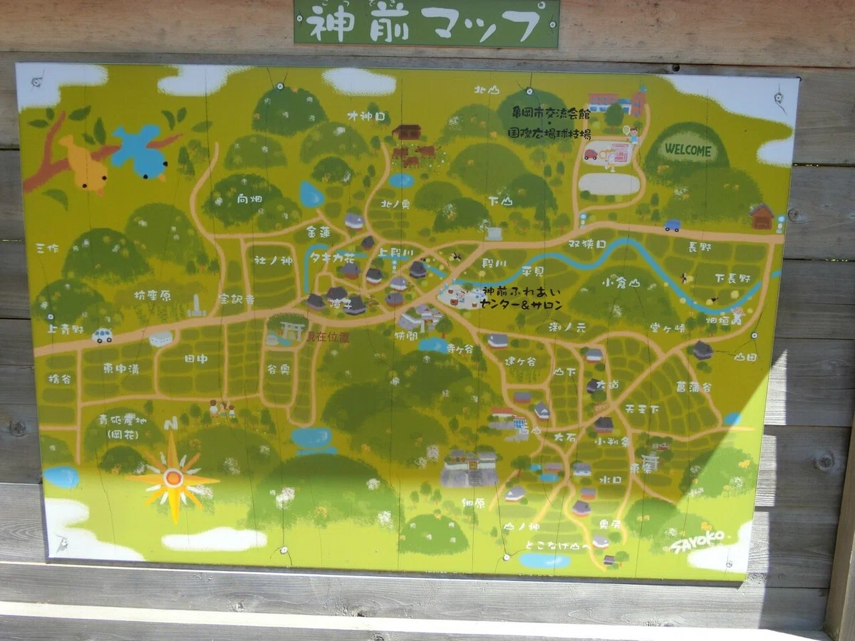 画像7