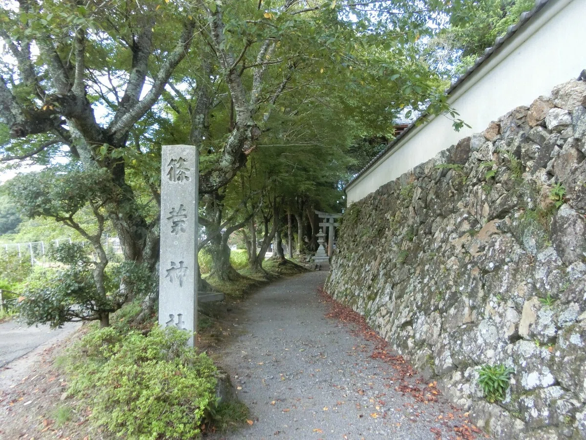 画像4
