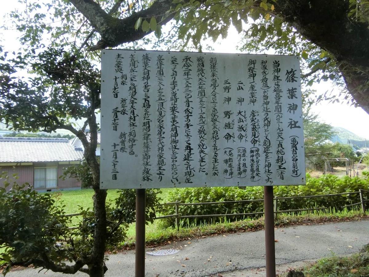 画像5