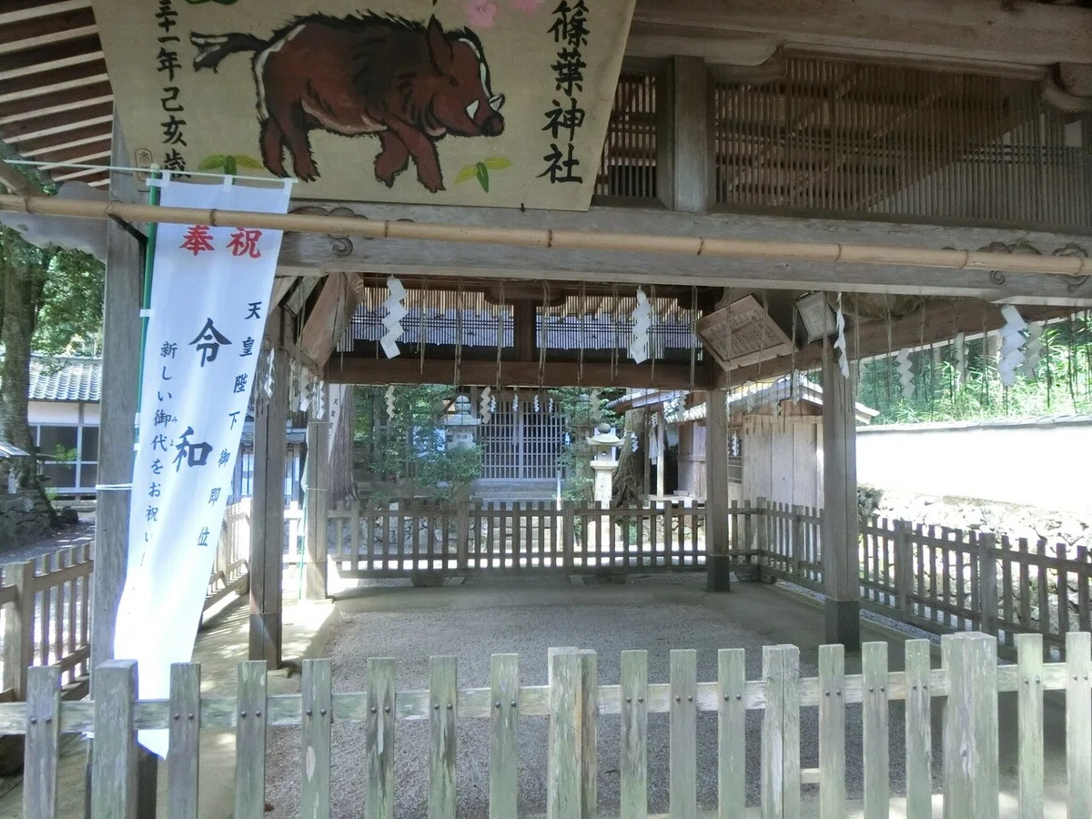 画像6