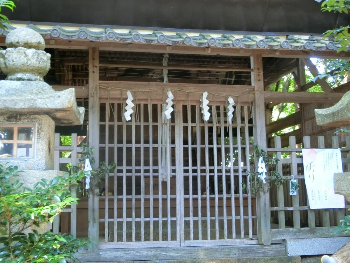 画像7