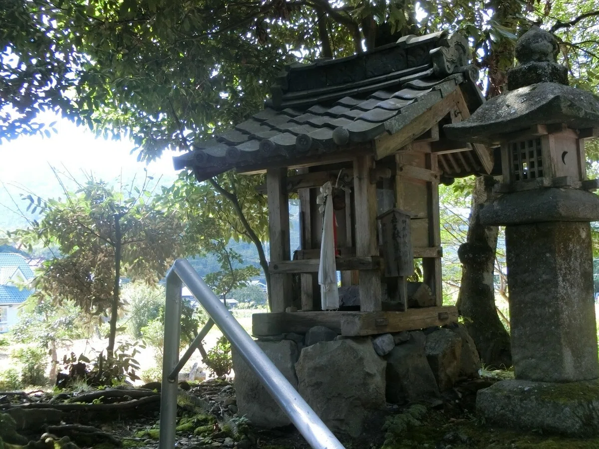 画像8