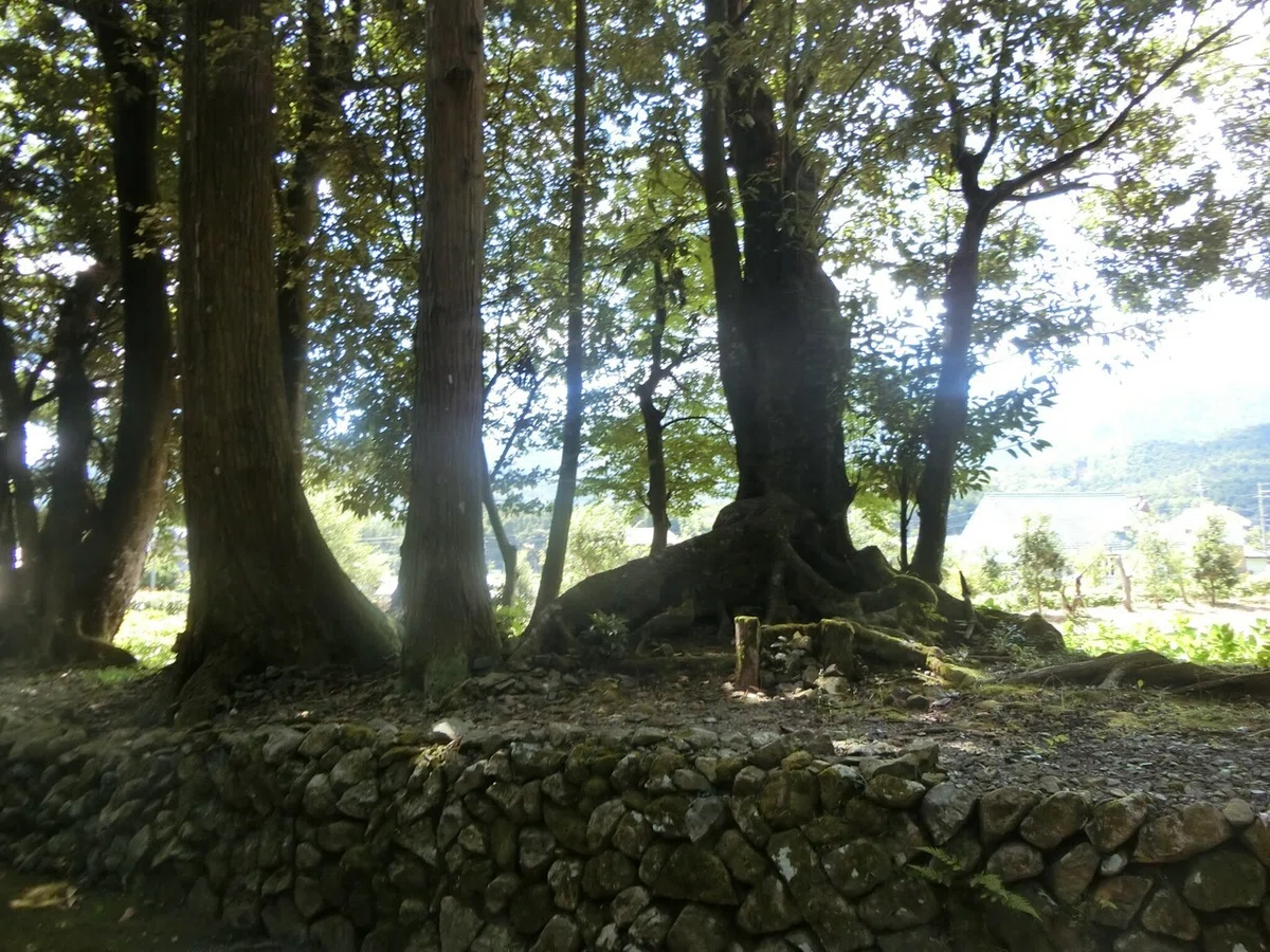 画像12