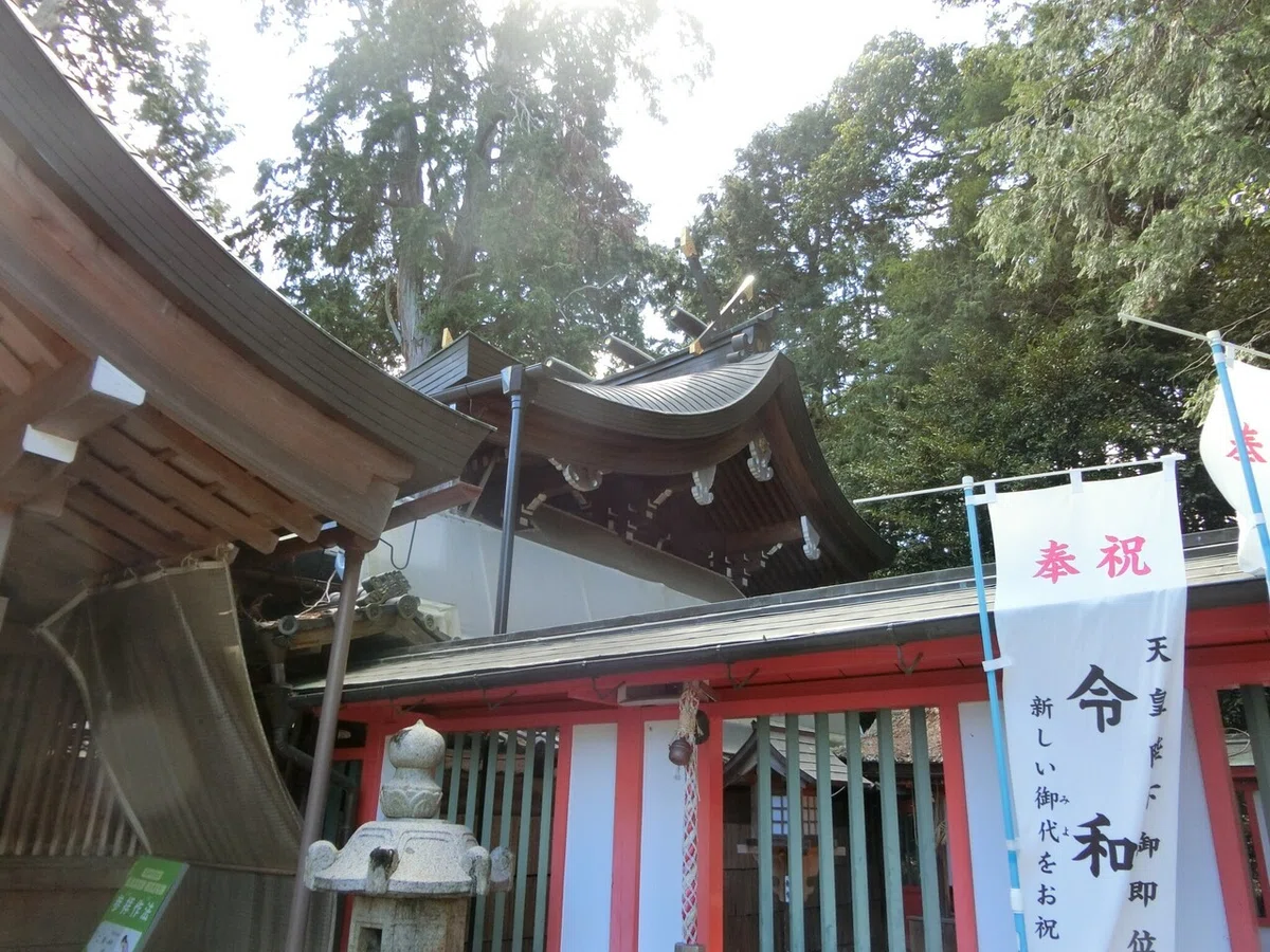 画像5