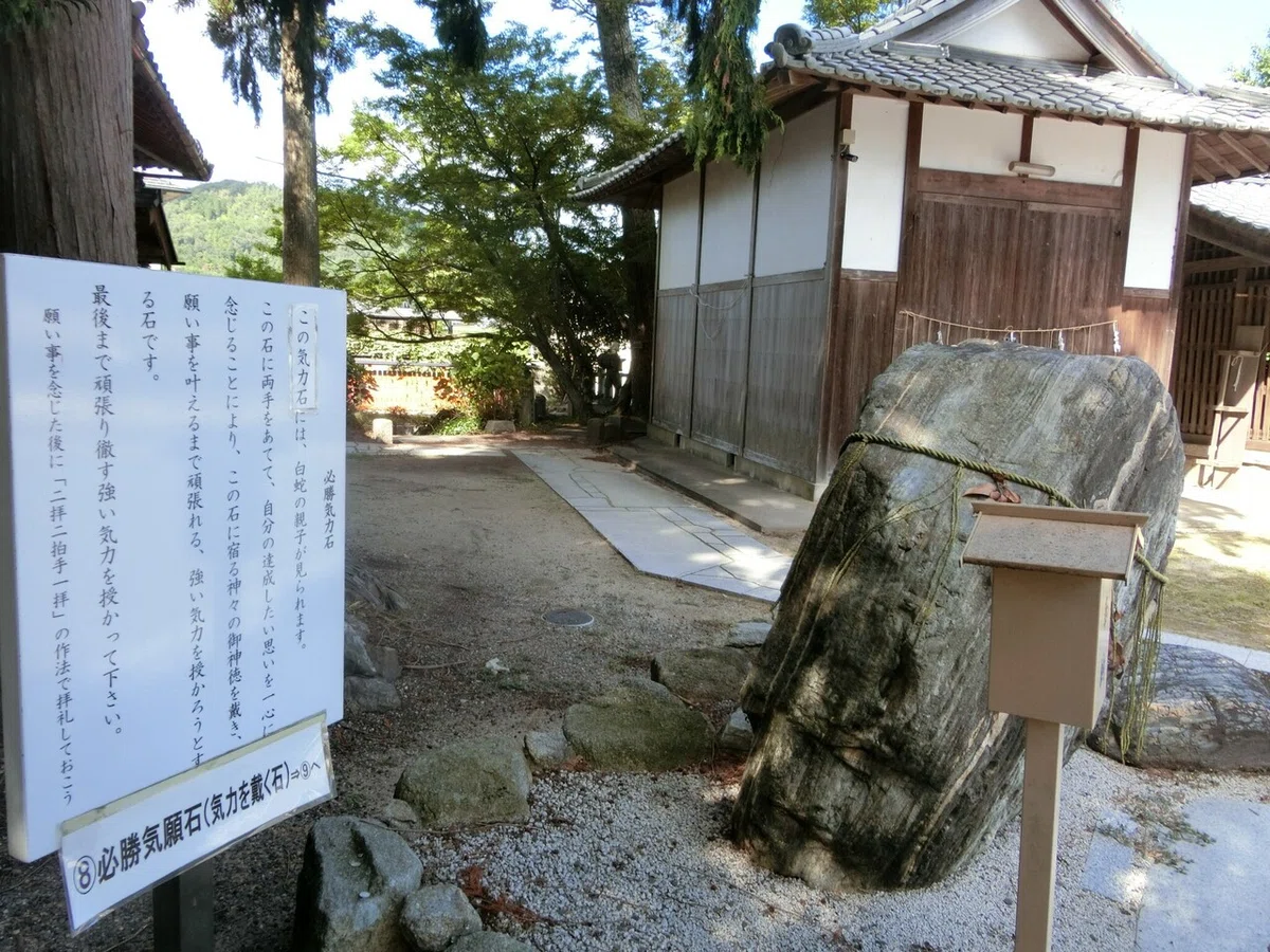 画像6