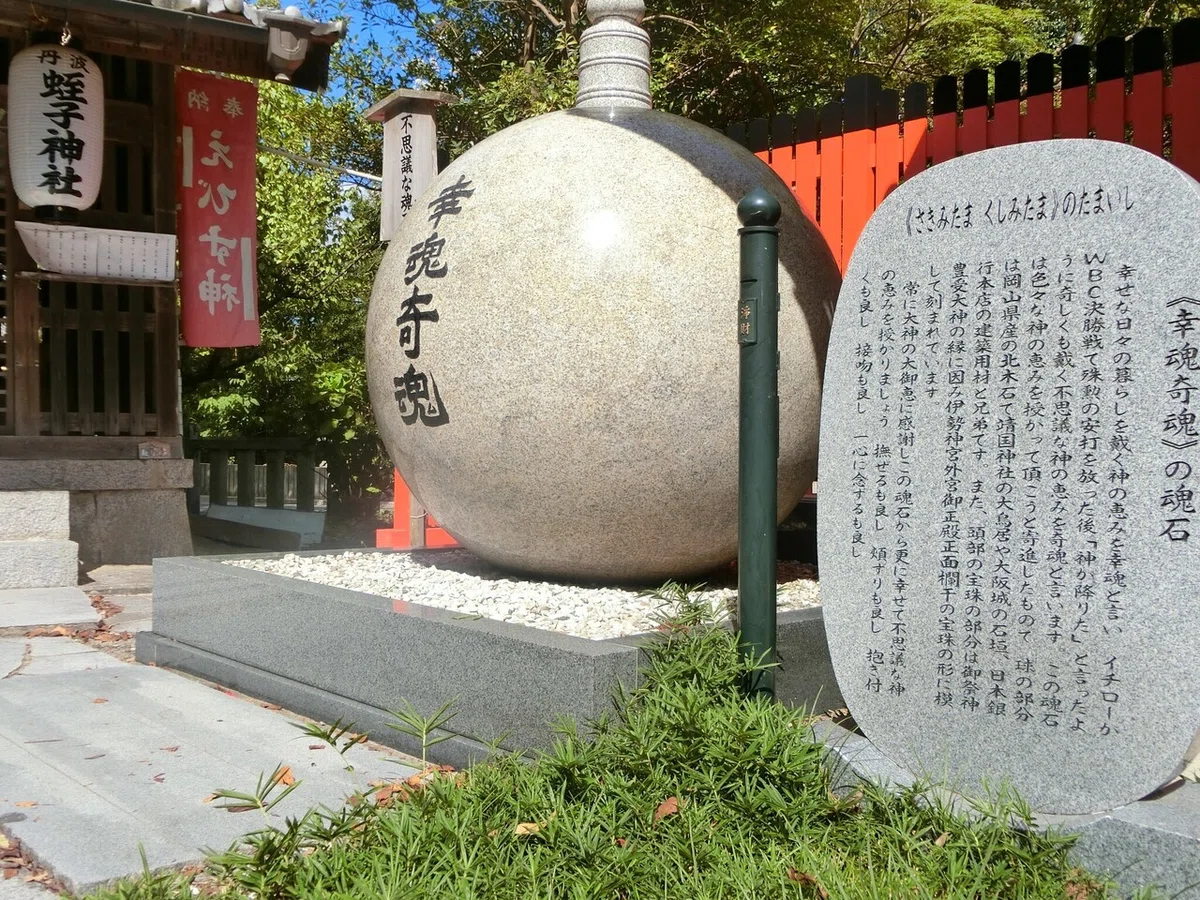 画像7