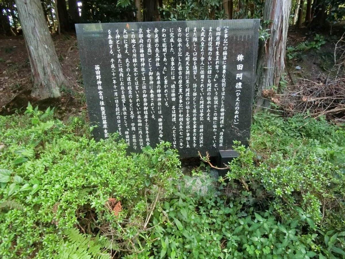 画像8
