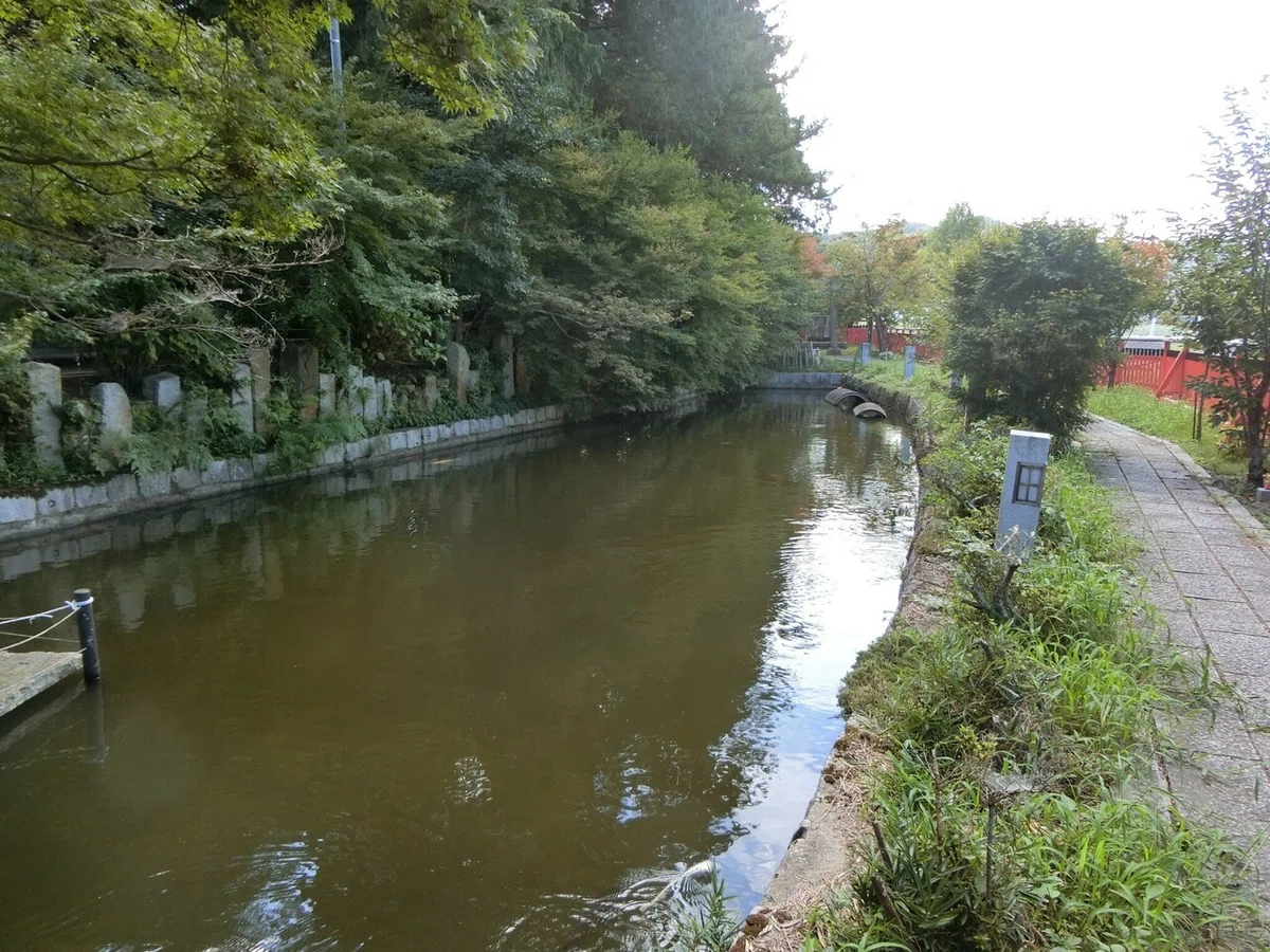 画像9