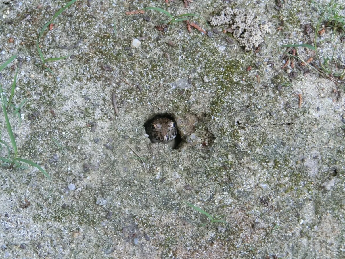 画像11