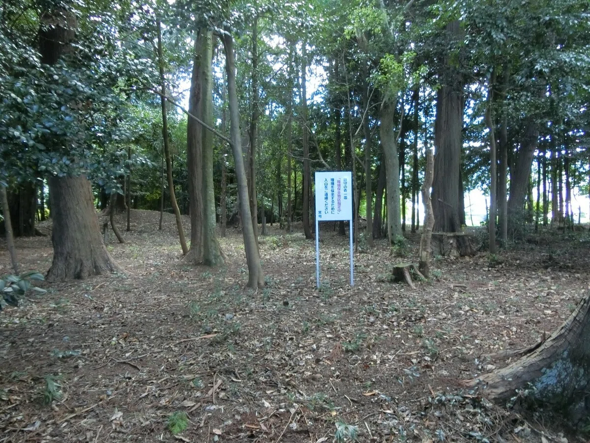 画像12