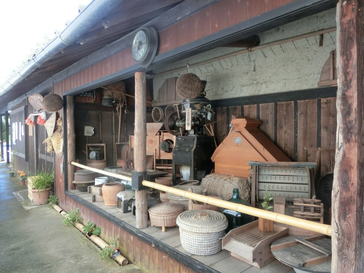 画像15