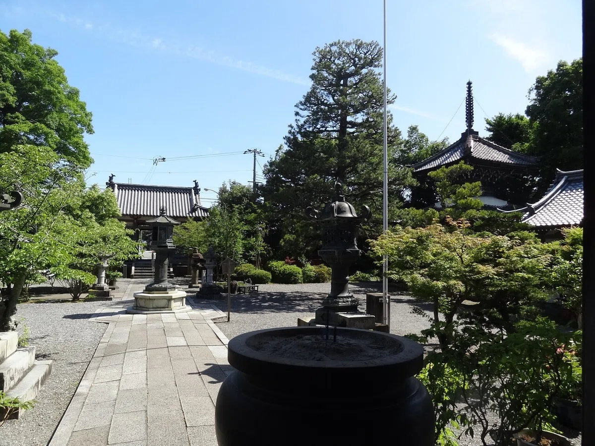 画像5