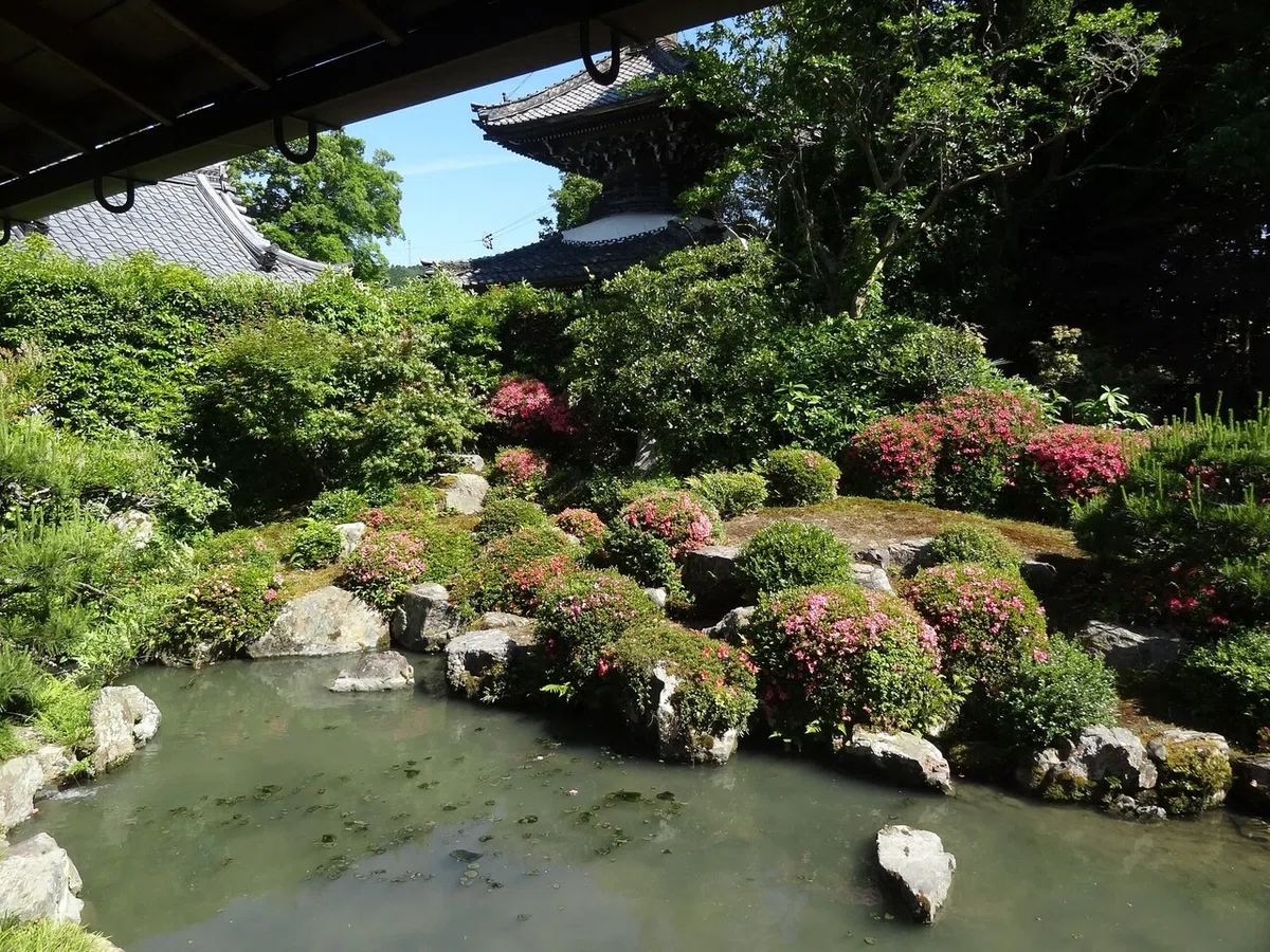 画像7