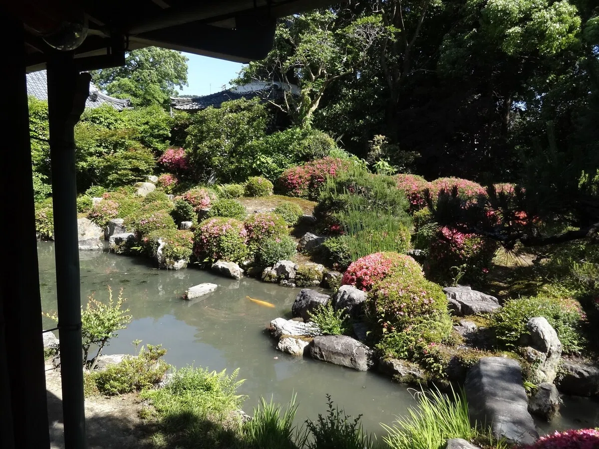 画像8