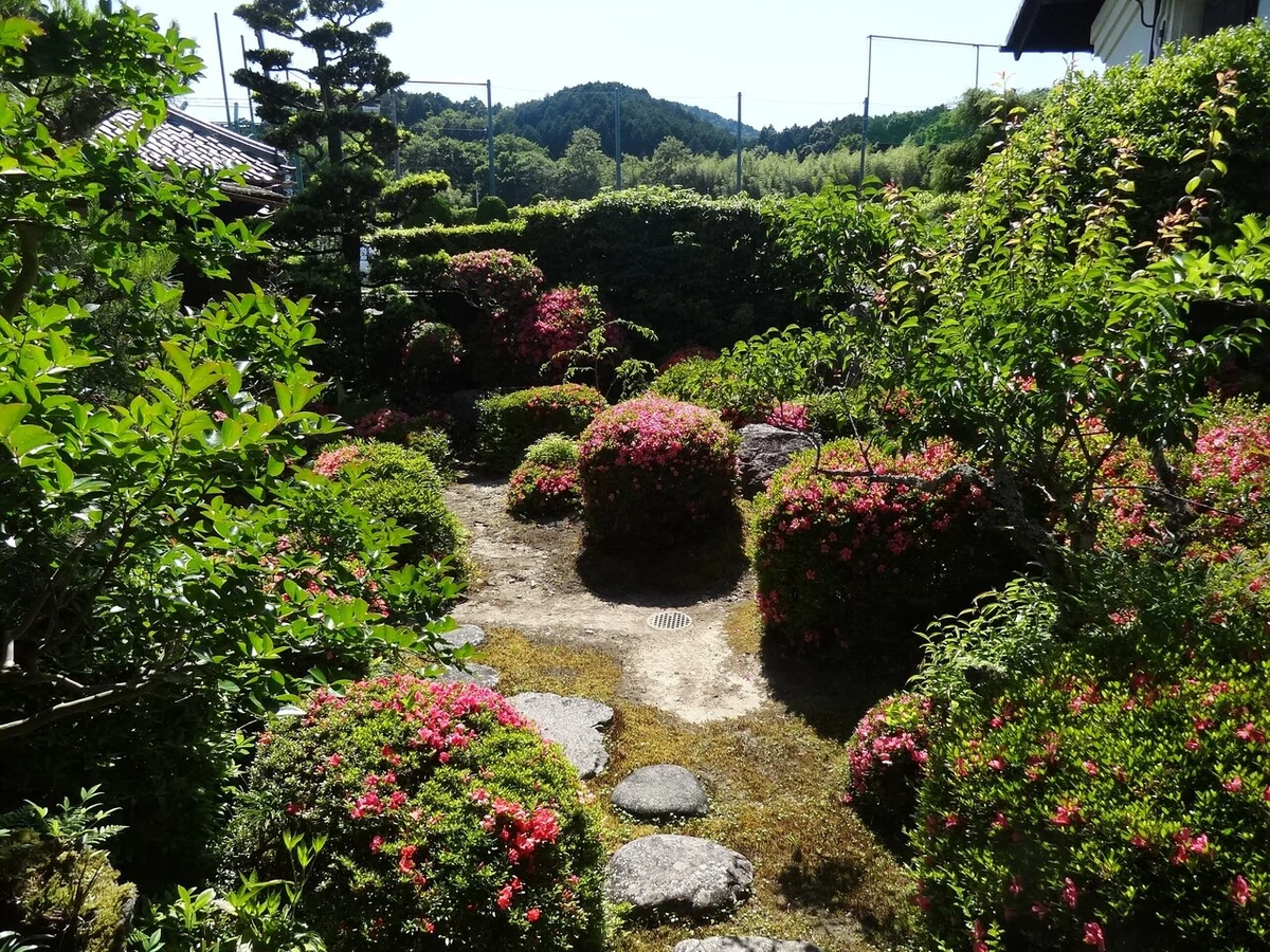 画像12