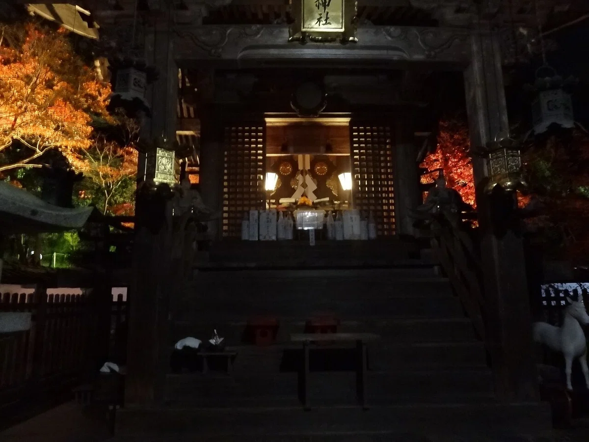 画像7