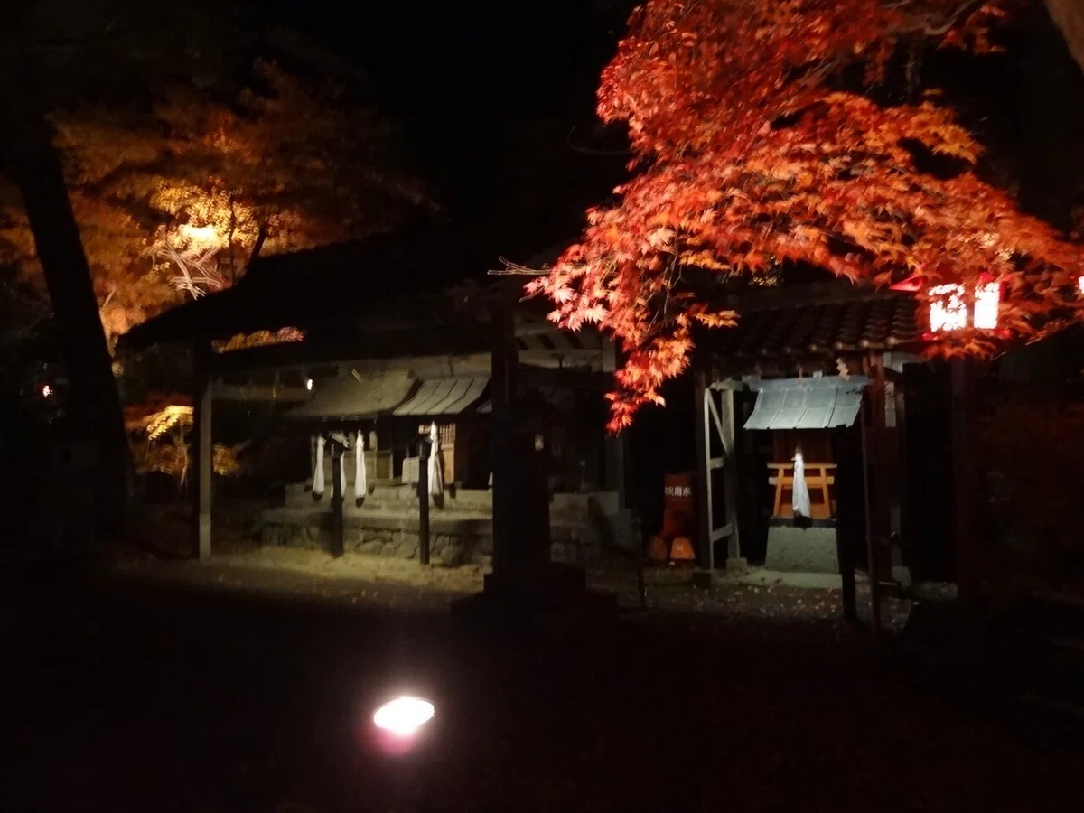 画像12