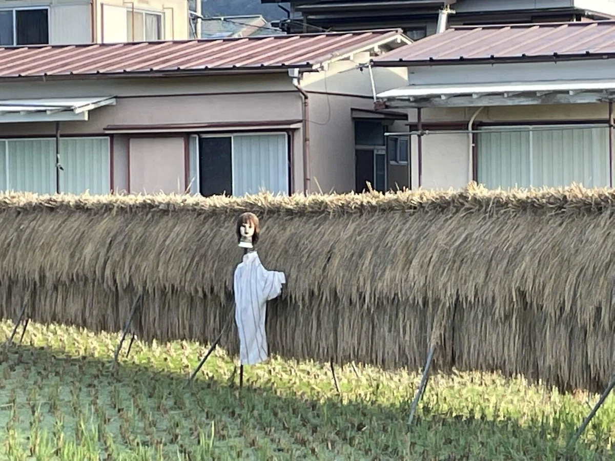 画像15
