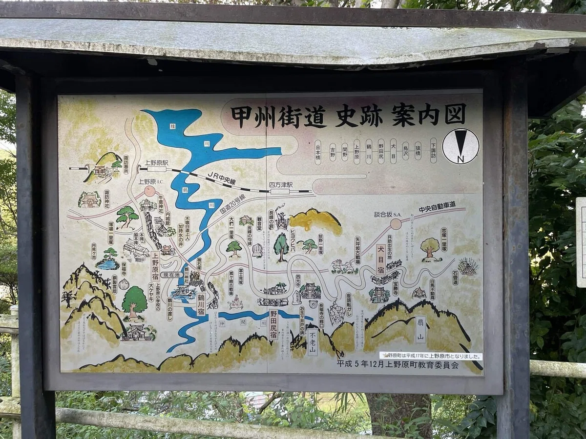 画像19