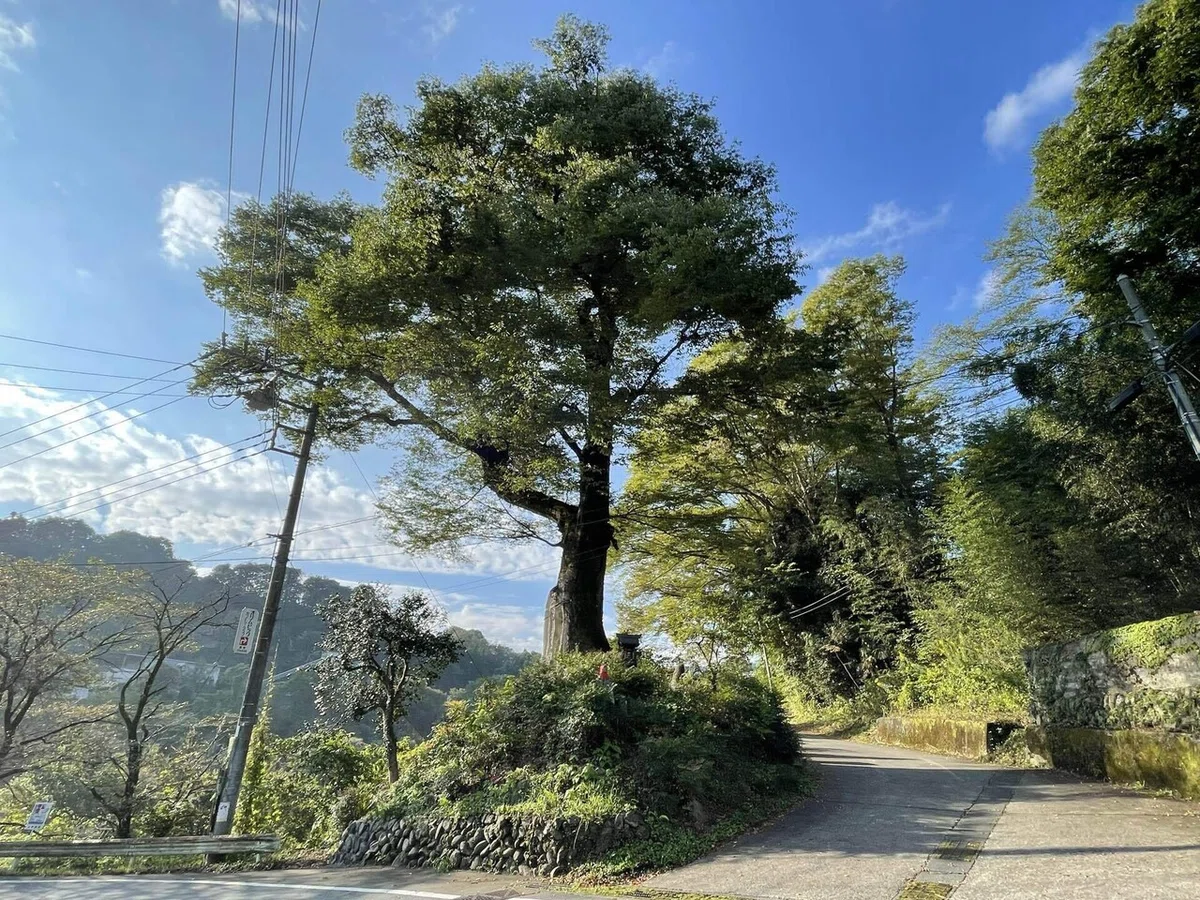 画像25